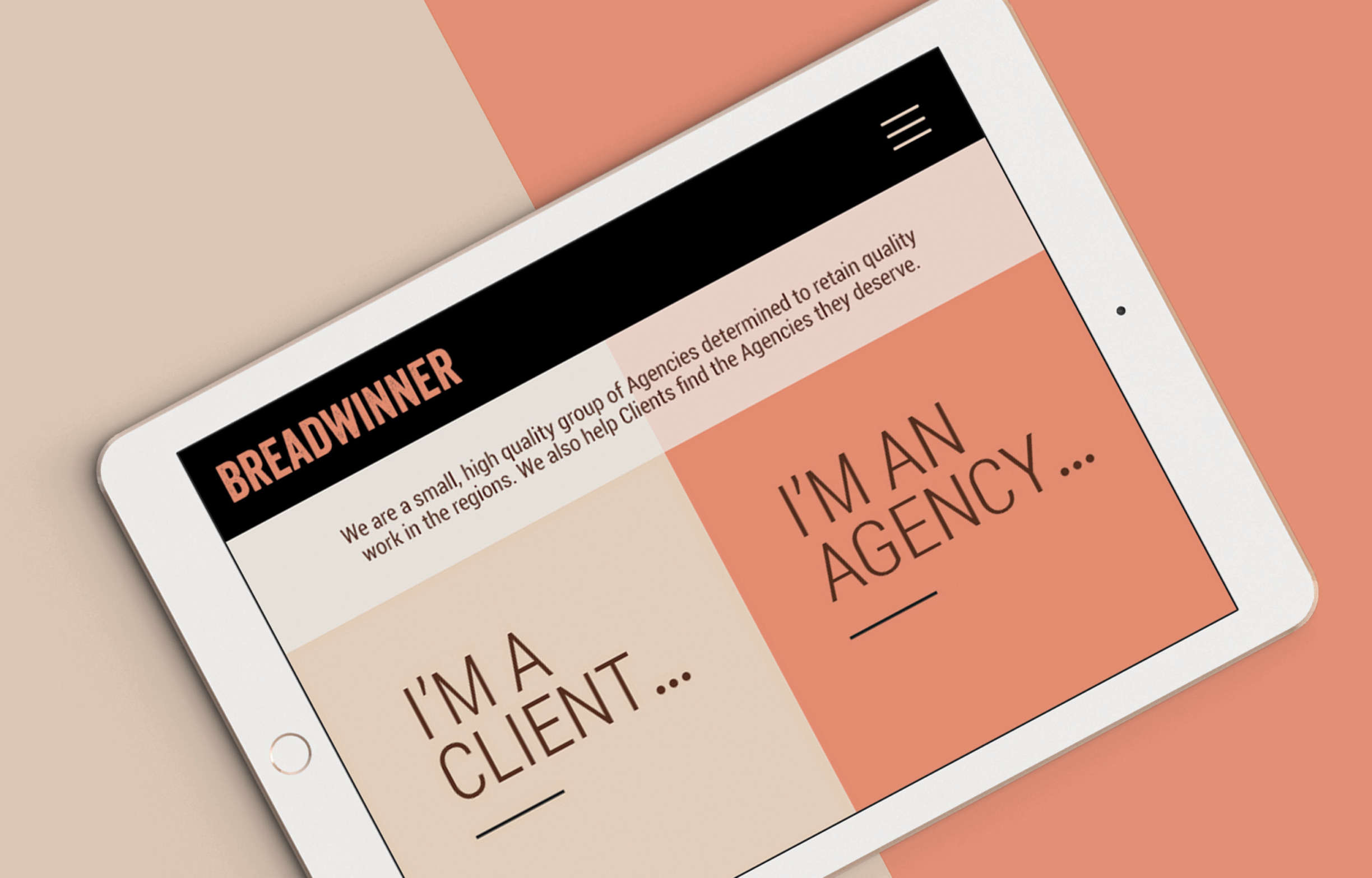 Breadwinner Web Pages33