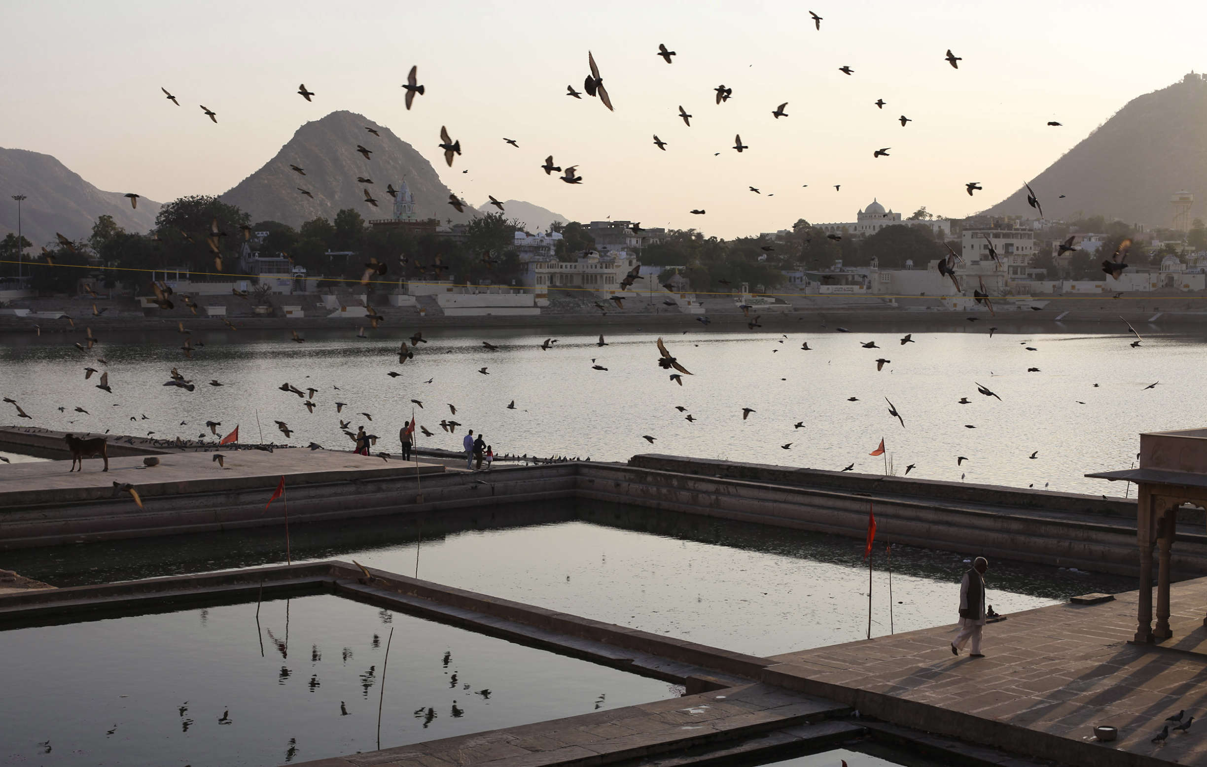 Pushkar1