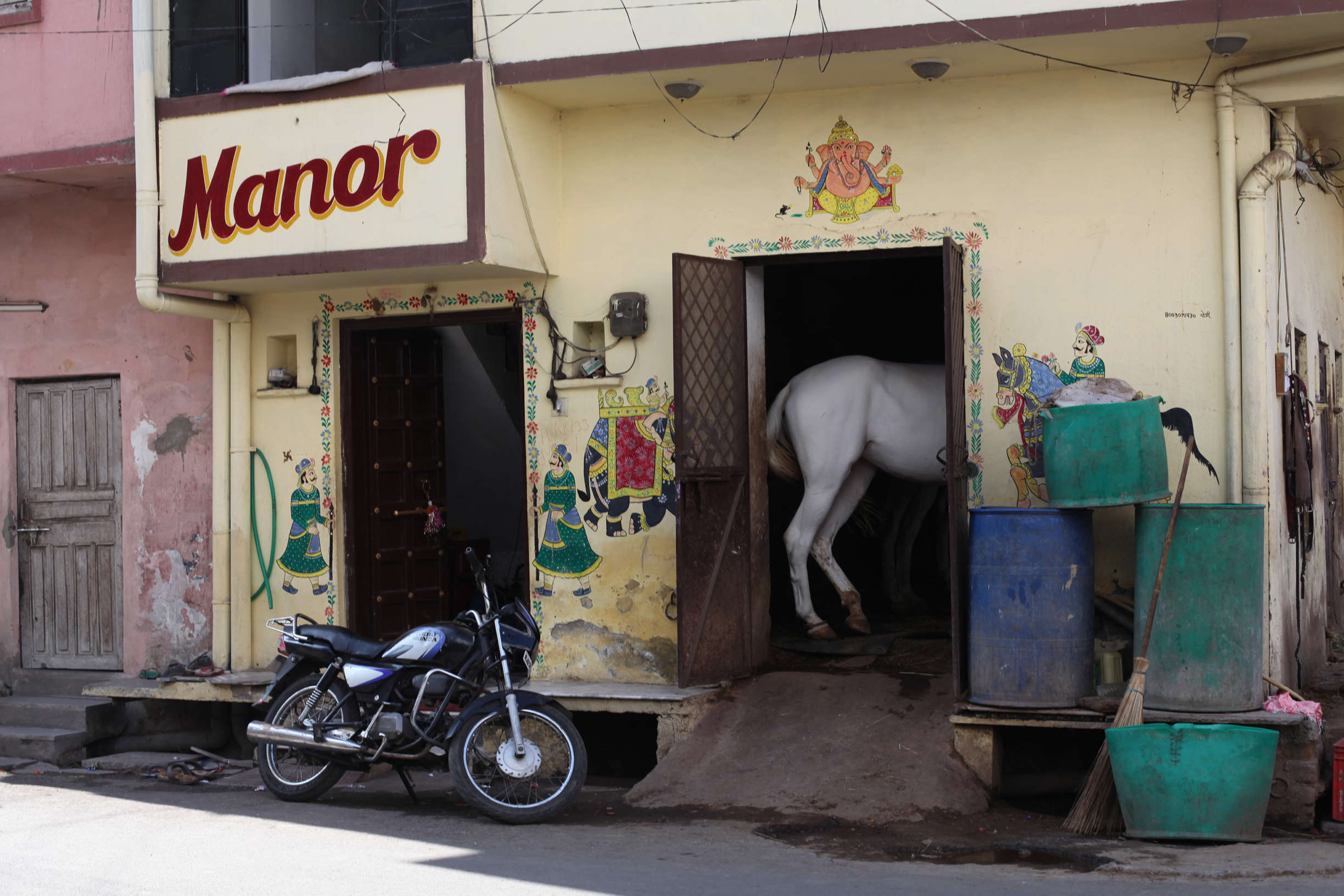 Udaipur2