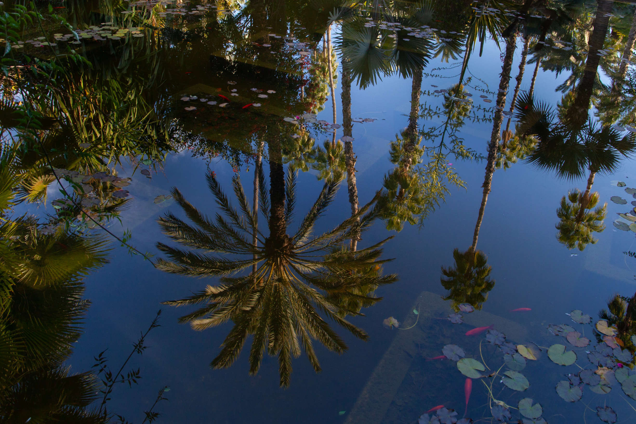 IMG 0169