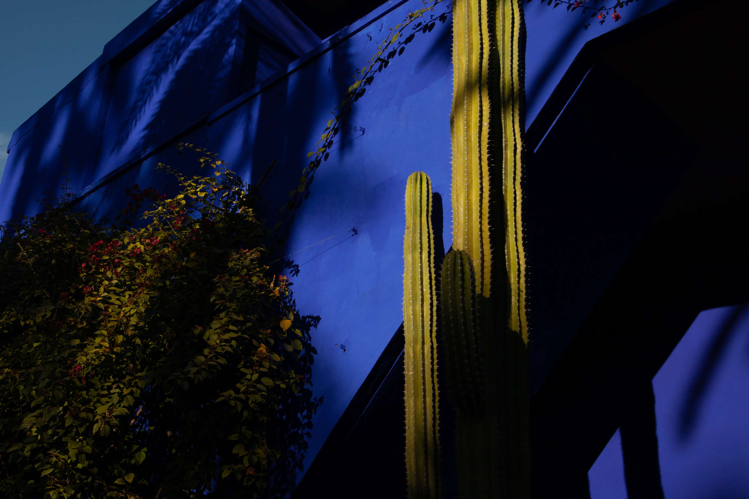 The Jardin Majorelle