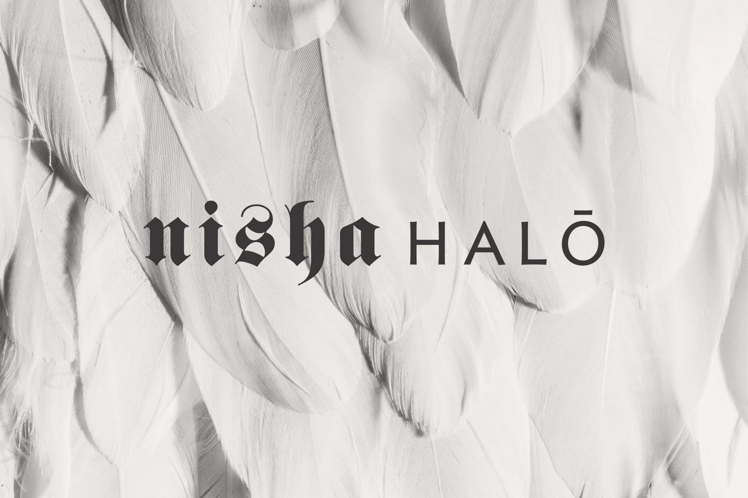Nisha Halo slide