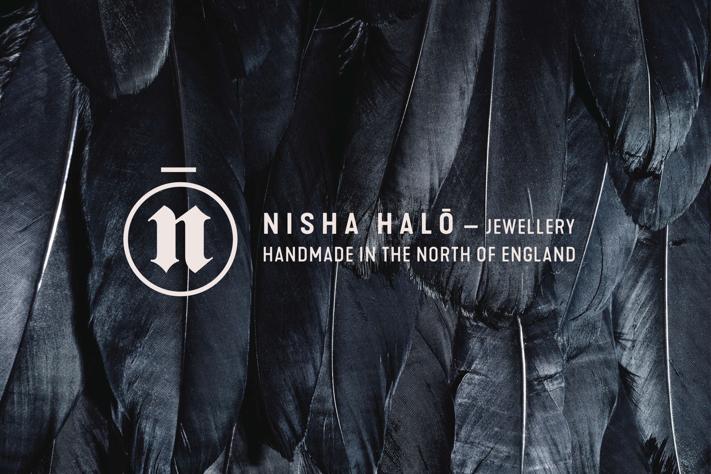 Nisha Halo slide2