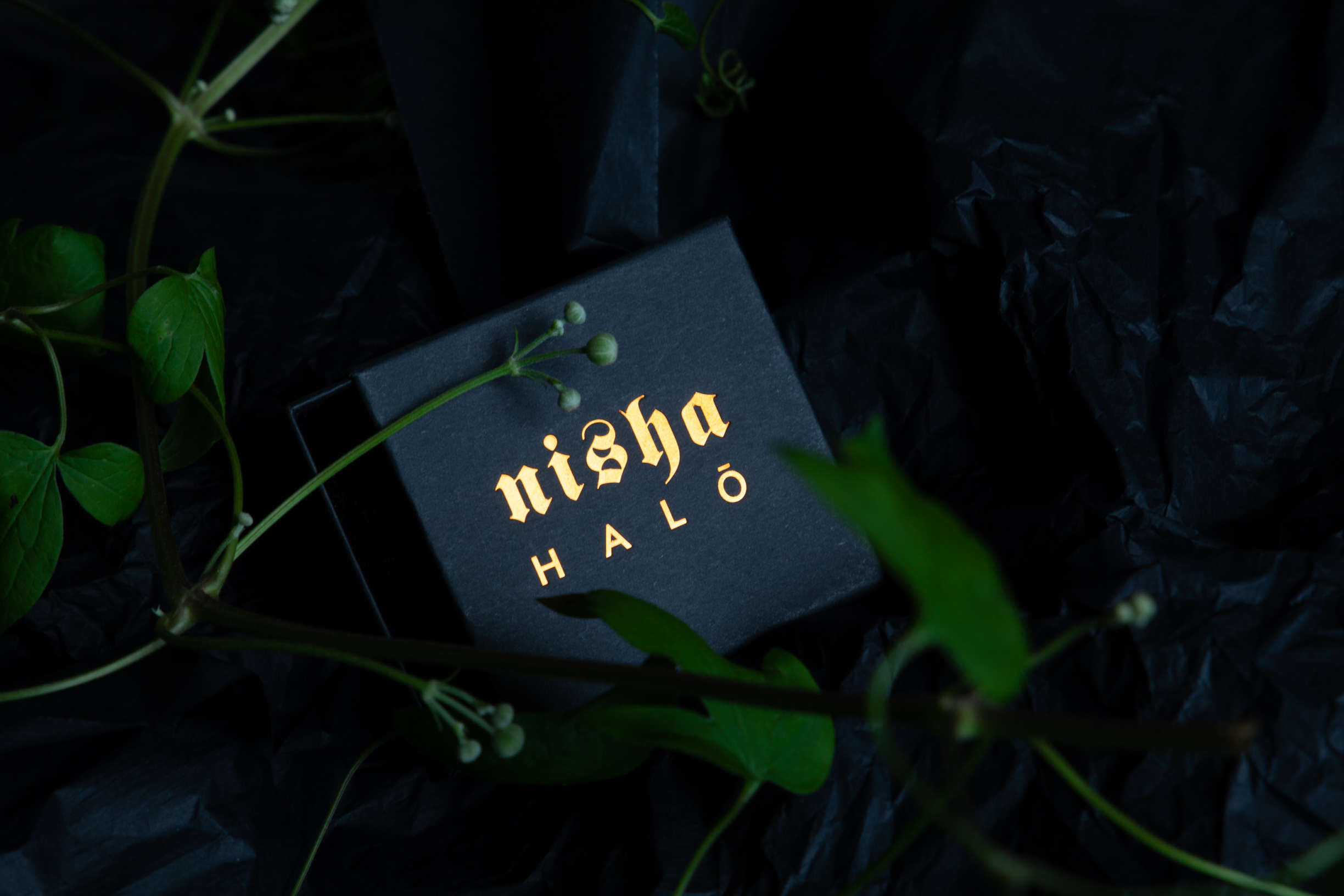 Nisha Halo Anna Cleary 4