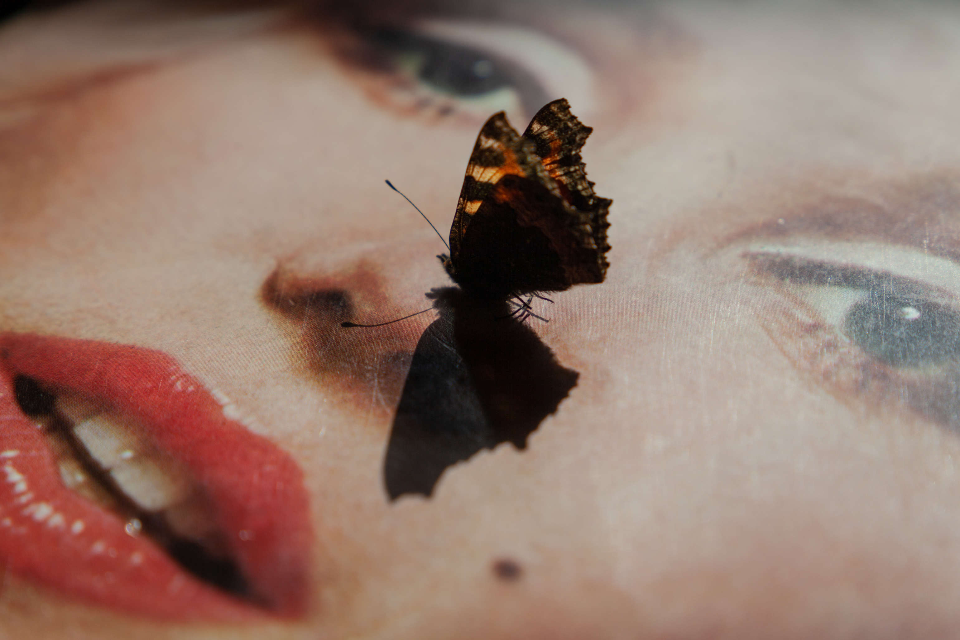 Copyright Anna Cleary 7